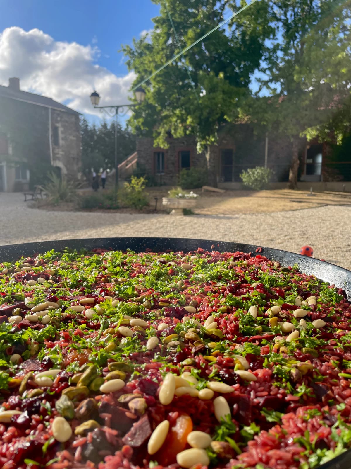 Riz aux joyaux